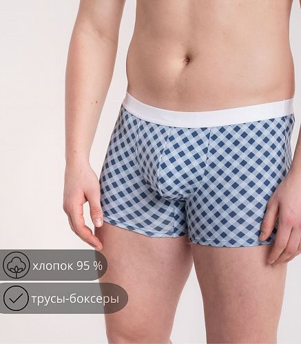 Трусы мужские 7011/146