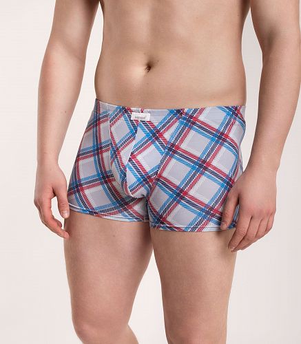 Трусы мужские 7039/209