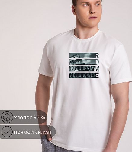 Фуфайка мужская 7415/152