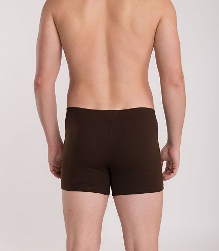 Трусы мужские 7001/81