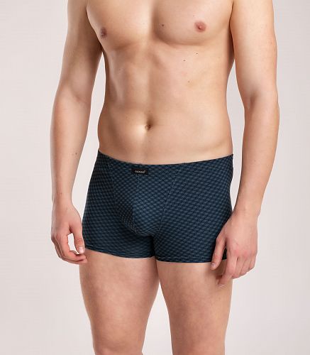 Трусы мужские 7039/174