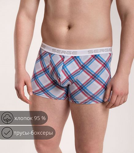 Трусы мужские 7011/149