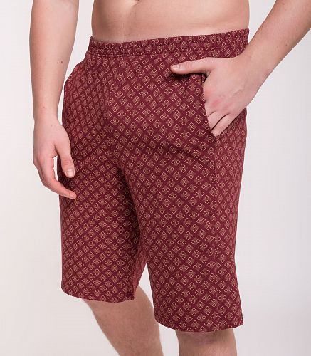 Шорты мужские 7625/23