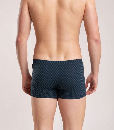 Трусы мужские 7039/174