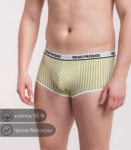 Трусы мужские 7011/145