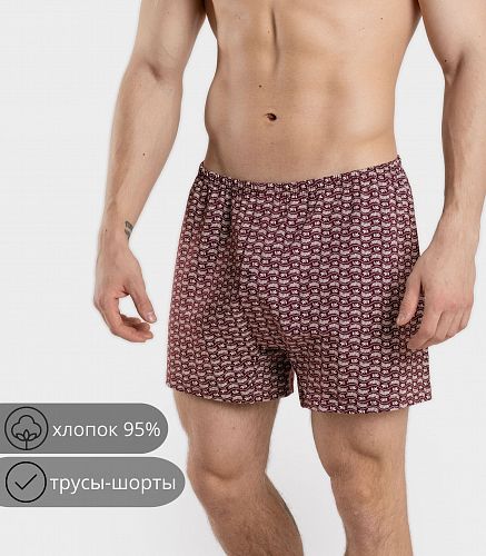Трусы мужские 7050/2