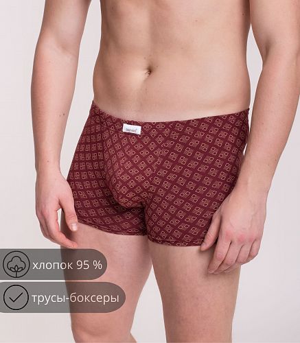 Трусы мужские 7039/200