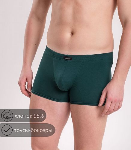 Трусы мужские 7039/198