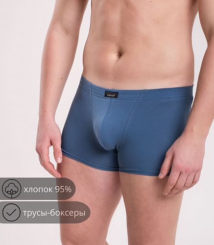 Трусы мужские 7039/70