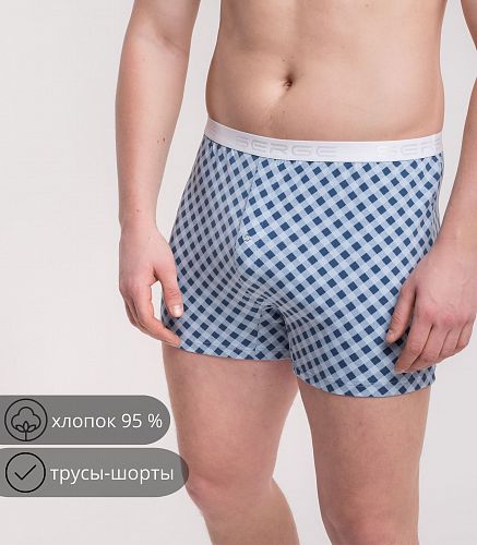 Трусы мужские 7017/54