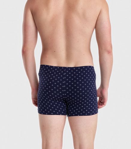 Трусы мужские 7001/79