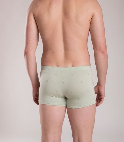 Трусы мужские 7039/204