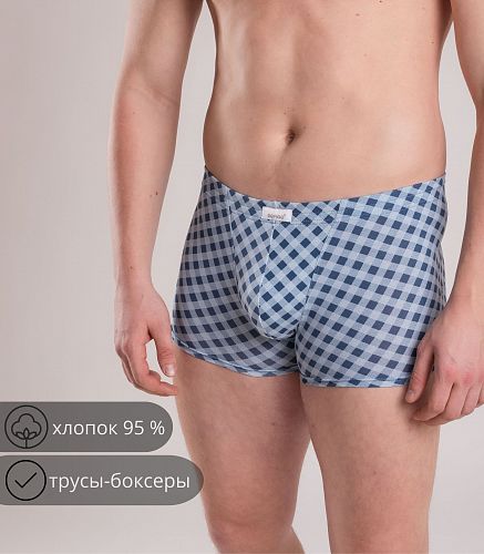 Трусы мужские 7039/206