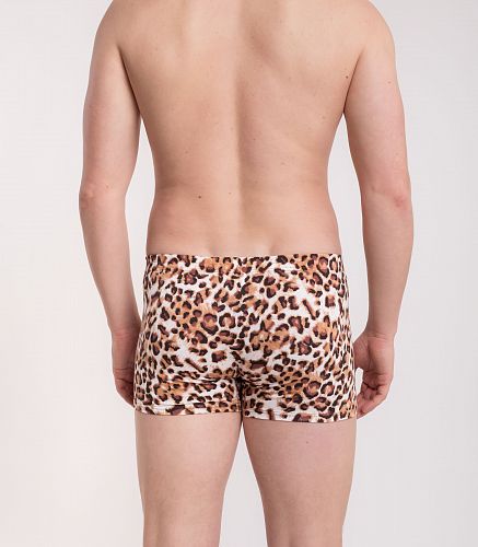 Трусы мужские 7039/207