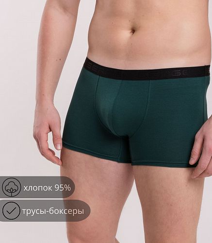 Трусы мужские 7011/139