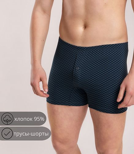 Трусы мужские 7001/75
