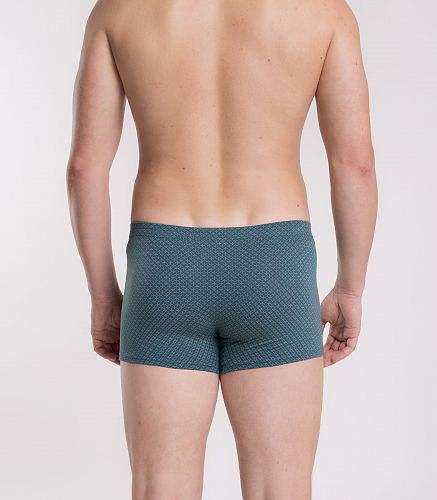 Трусы мужские 7039/192