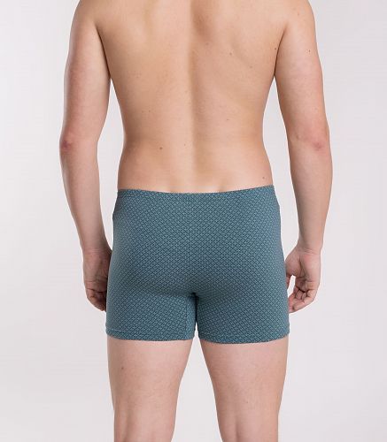 Трусы мужские 7001/85