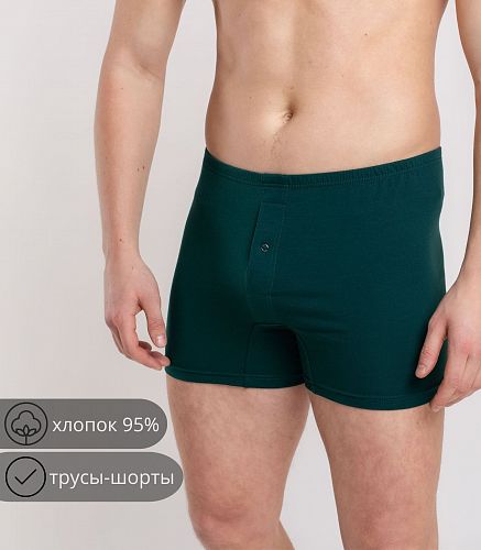 Трусы мужские 7001/67